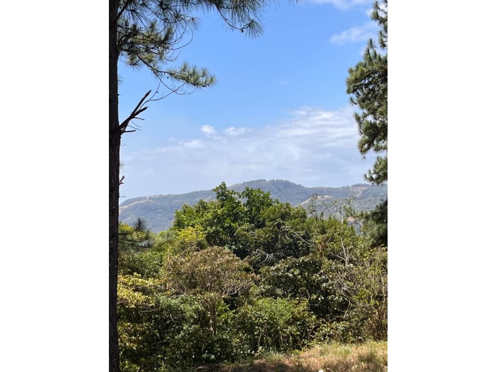 Lote en Venta Valle de la Toscana, Altos del María — foto 5