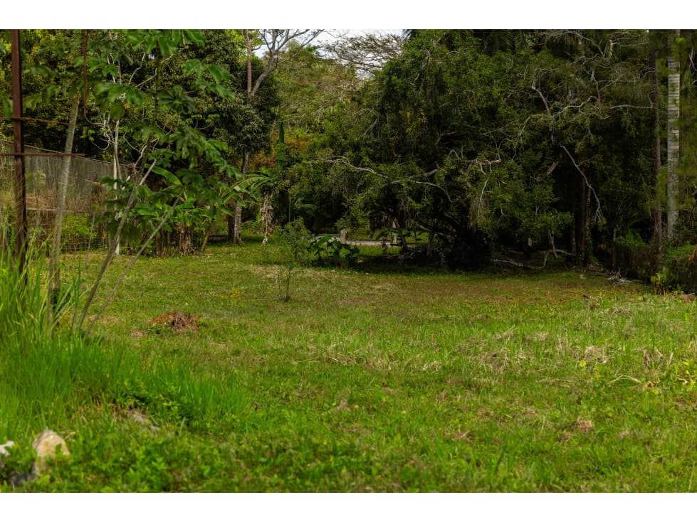 Venta de Terreno en Cáceres, Vía Principal Arraiján — foto 6