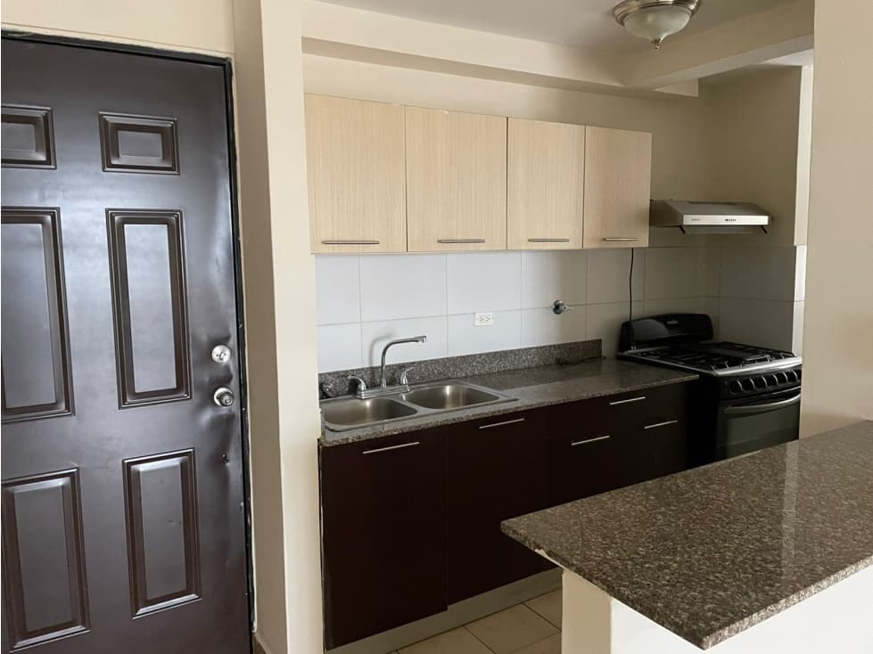 SE VENDE APARTAMENTO PH PARQUE LEFEVRE SKY — foto 6