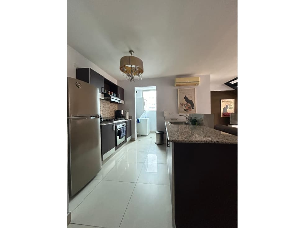APARTAMENTO TIPO LOFT EN VENTA EN EL CANGREJO, PH VITRO LOFT. — foto 5