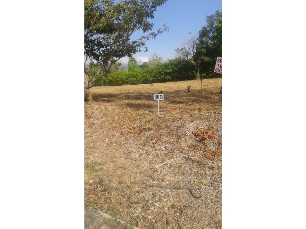 VENTA DE LOTE DE TERRE EN PUNTA CHAME. — foto 5
