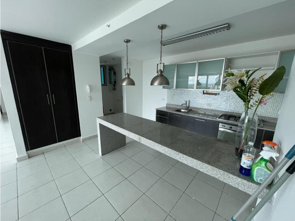VENTA DE APARTAMENTO EN EL CANGREJO — foto 6