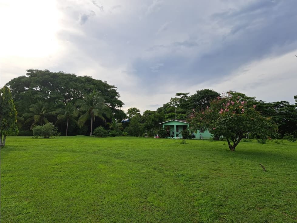VENDO FINCA CORONADO — foto 3