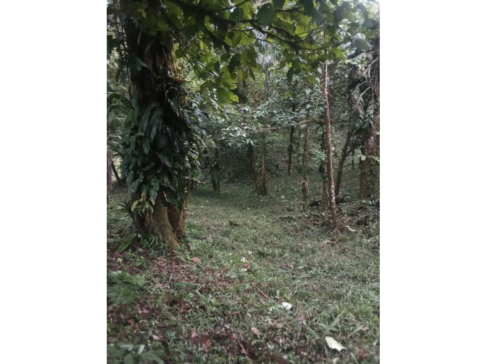 VENDO TERRENO Altos del María, Urbanización Navarra, CODCA — foto 5