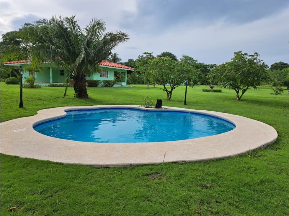 VENDO FINCA CORONADO — foto 4