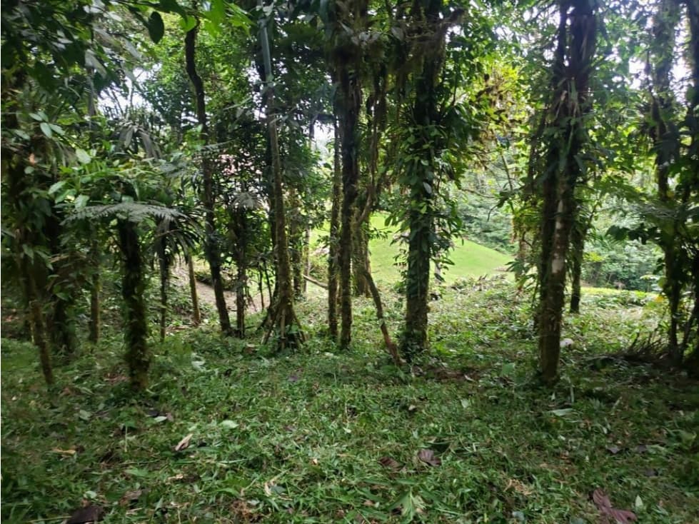 VENDO TERRENO Altos del María, Urbanización Navarra, CODCA — foto 6