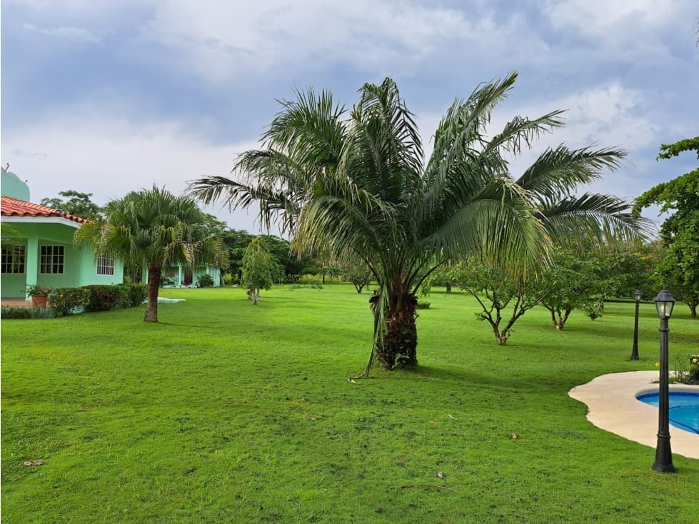 VENDO FINCA CORONADO — foto 5