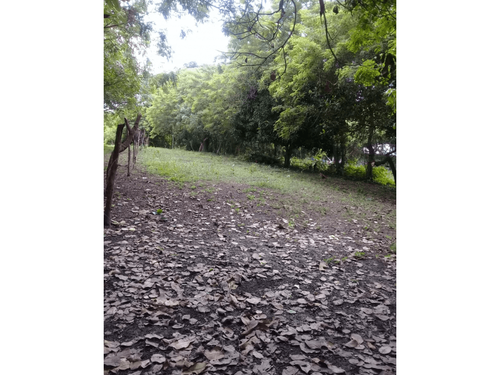 lote a pocos metros de la Playa Punta Barco-Pamana — foto 5