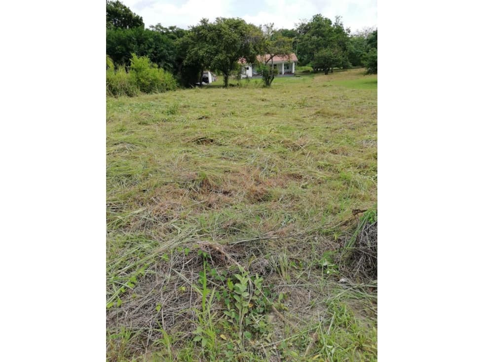 VENTA DE TERRENO EN CORONADO — foto 6