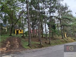 Alquiler de Casa en Altos de Cerro Azul