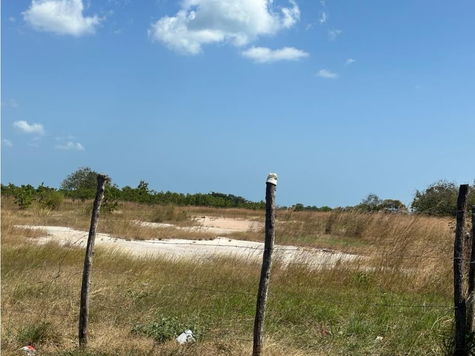 VENTA TERRENO SAN CARLOS — foto 2
