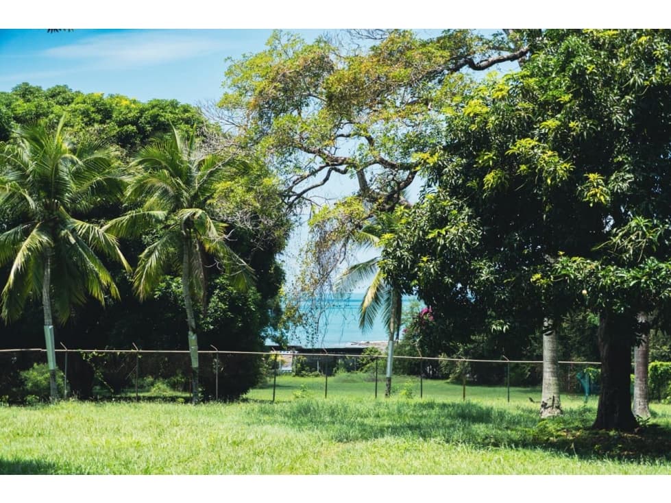 VENTA TERRENO PLAYA GORGONA — foto 4