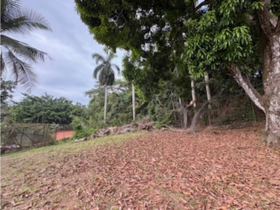 VENTA LOTE EN LLANOS DE CURUNDÚ — foto 5
