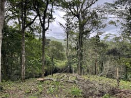 Terreno disponible en Altos de Maria (Melo) Financiamiento Disponible