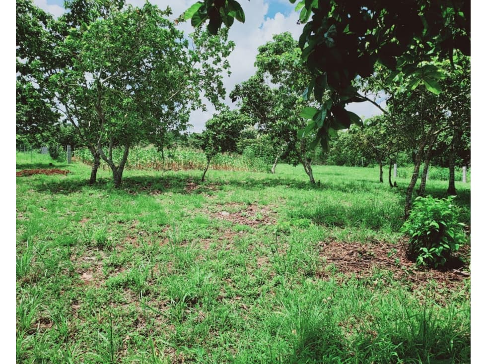 Senderos del Coco — foto 6