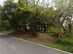 SE VENDE TERRENO SAN CARLOS, PIEDRAS GORDAS