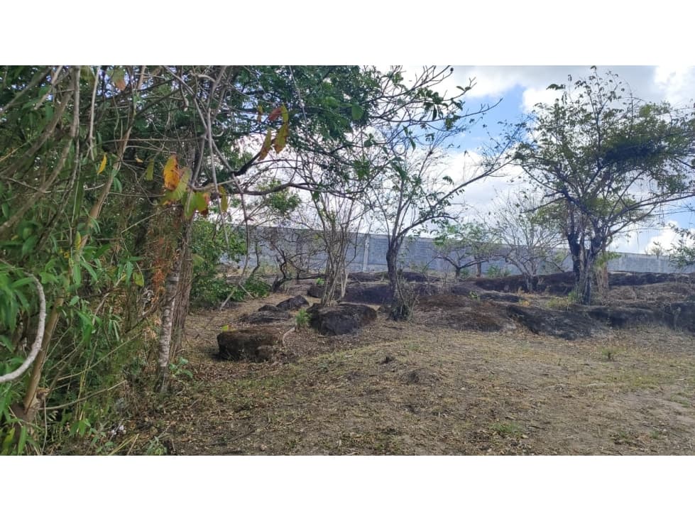 ¡OPORTUNIDAD DE INVERSIÓN EN COLONCITO, NUEVA GORGONA CHAME — foto 2