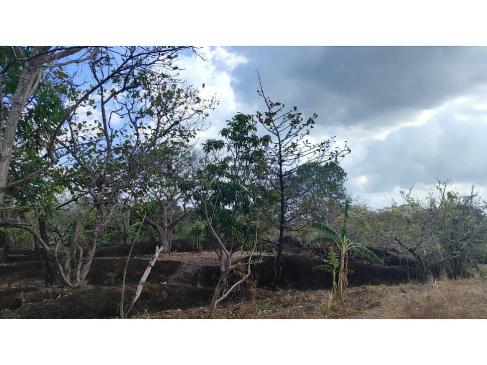 ¡OPORTUNIDAD DE INVERSIÓN EN COLONCITO, NUEVA GORGONA CHAME — foto 5