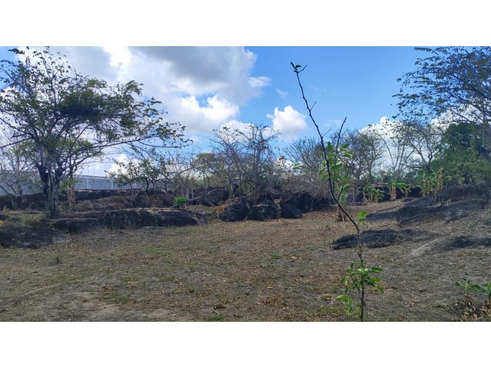 ¡OPORTUNIDAD DE INVERSIÓN EN COLONCITO, NUEVA GORGONA CHAME — foto 6