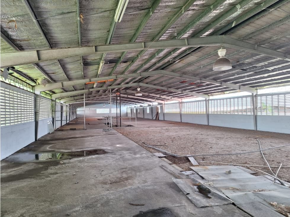 Venta de Galera de 1.664 mts de Terreno en Rio Abajo — foto 4