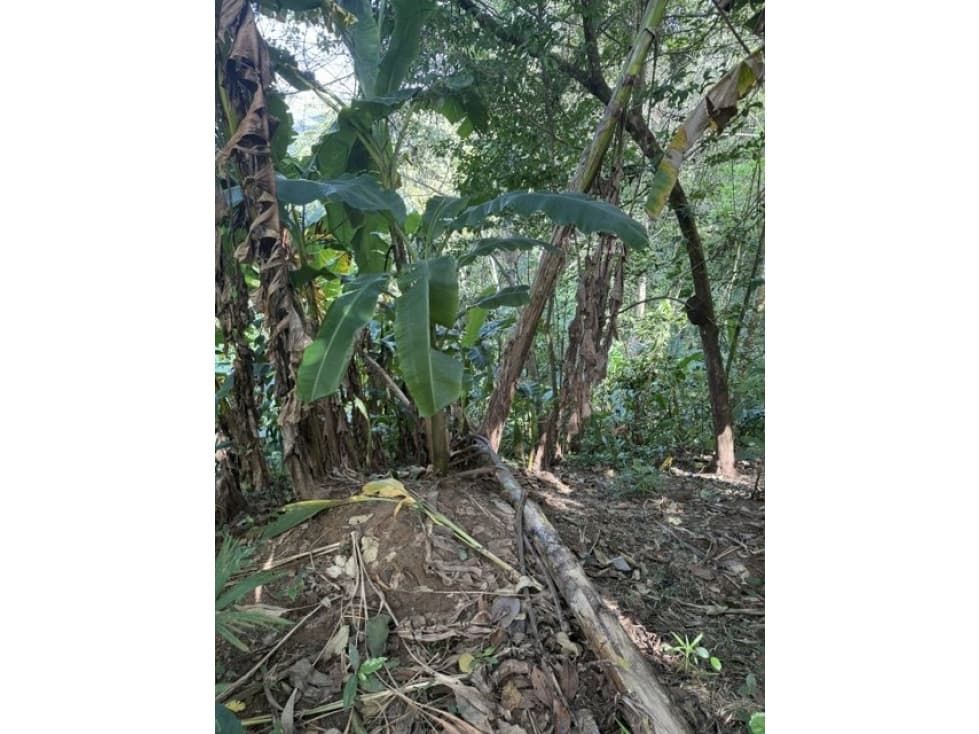 Venta de Finca - Quebrada Ancha Las Cumbres - AR — foto 4
