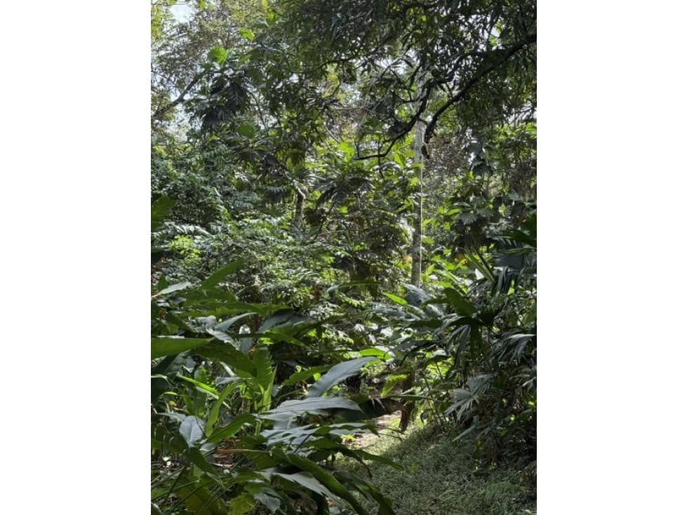 Venta de Finca - Quebrada Ancha Las Cumbres - AR — foto 6
