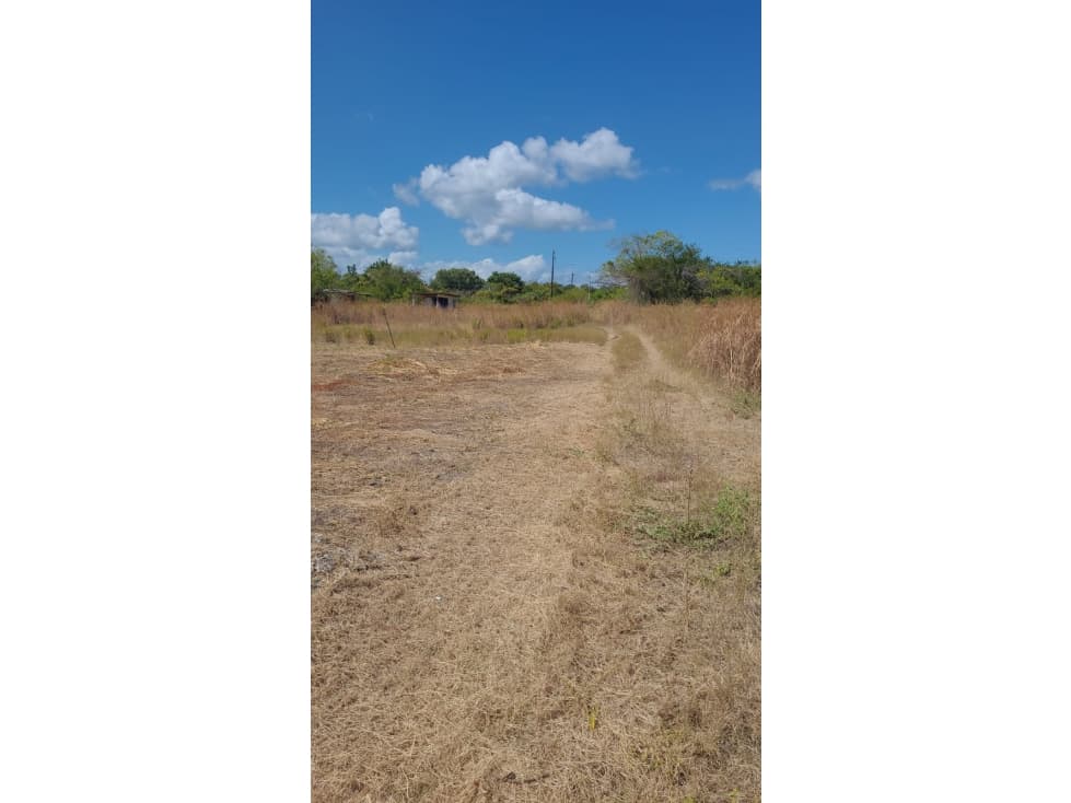VENTA DE TERRENO EN CHAME — foto 6