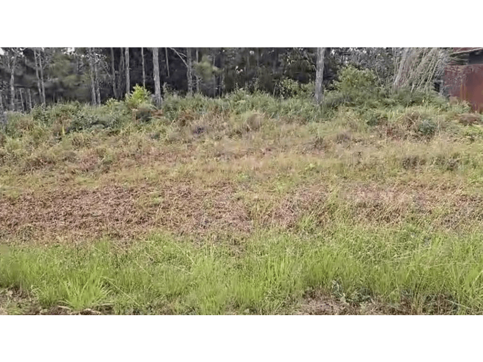 VENTA DE TERRENO EN CERRO AZUL — foto 4
