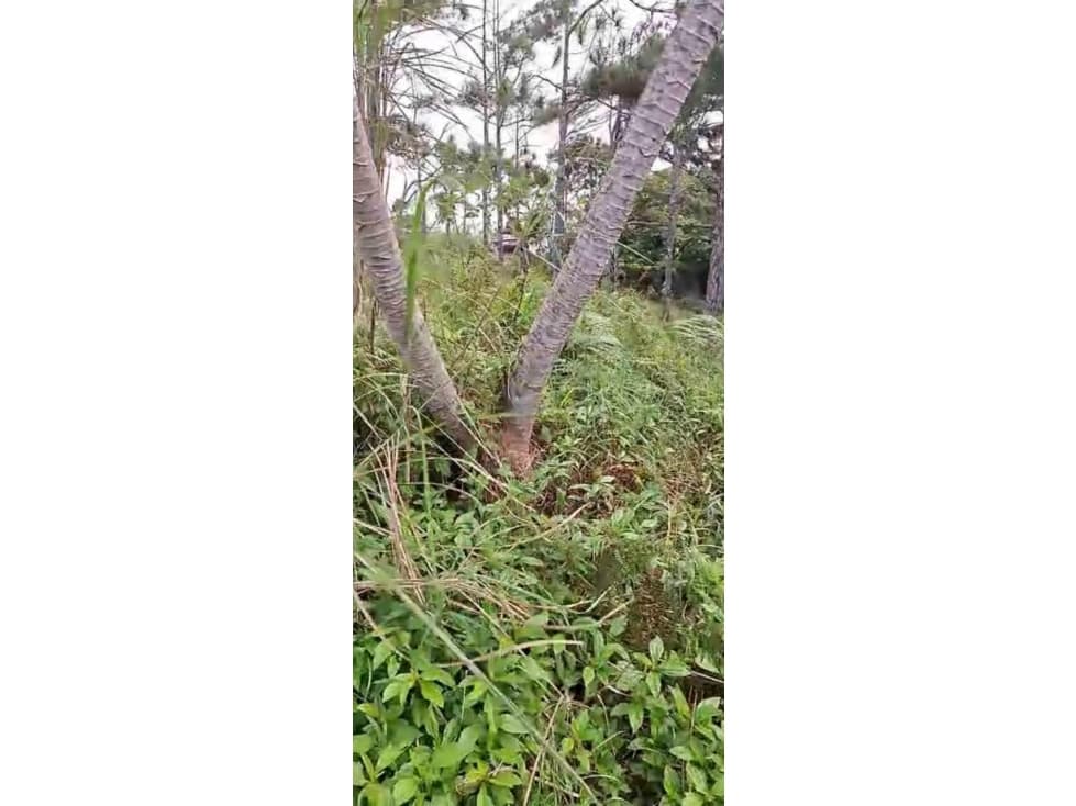 VENTA DE TERRENO EN CERRO AZUL — foto 5
