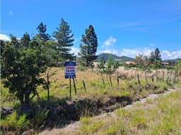 Lote en Paso Ancho Sobre la Vía Cerro Punta