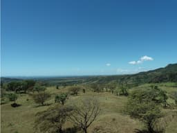 Finca en Venta Alto Boquete Vía Jaramillo