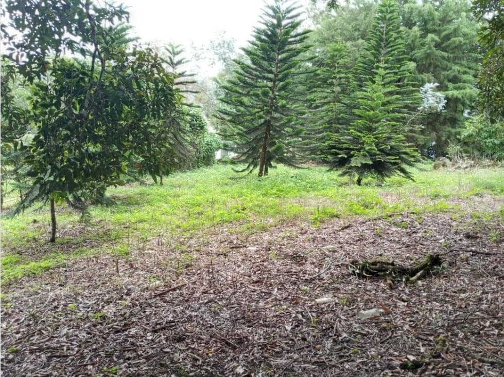 Finca de 10,910 m² en Volcán Centro, con acceso a la vía principal — foto 5