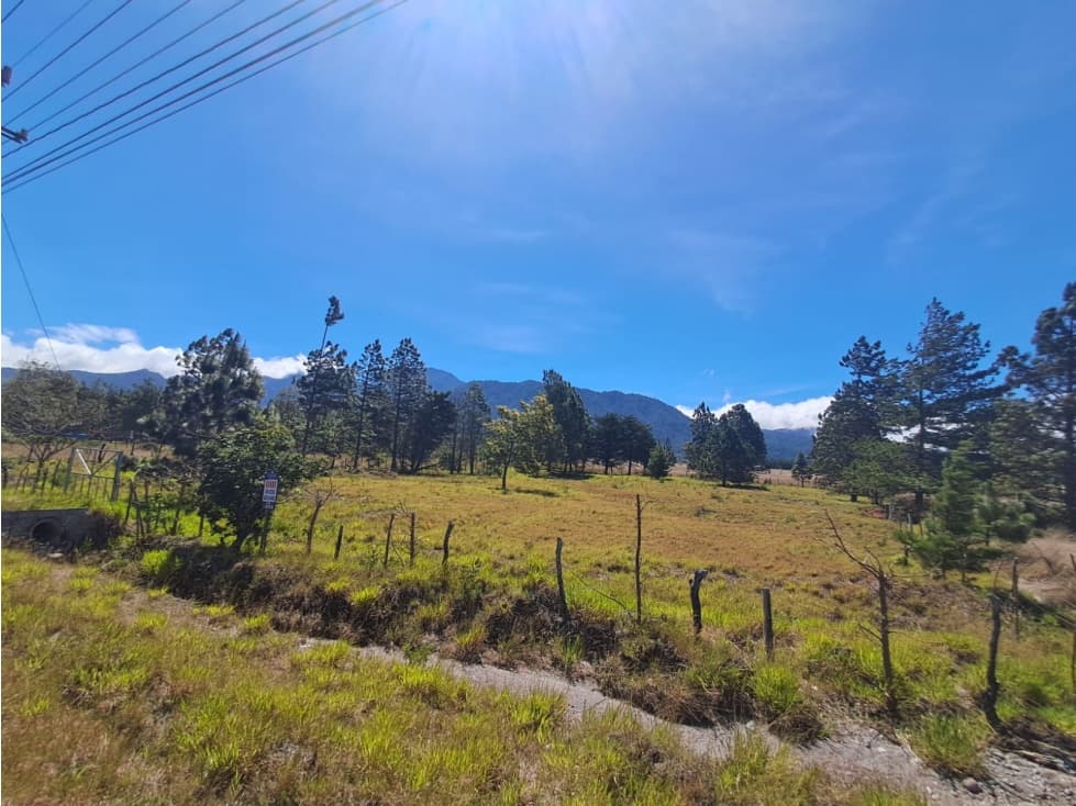 Lote en Paso Ancho Sobre la Vía Cerro Punta — foto 2