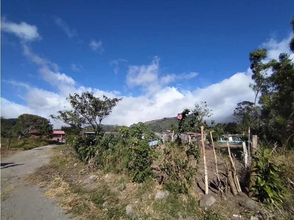 Lote de 1942.84 M2 Paso Ancho Volcán — foto 2