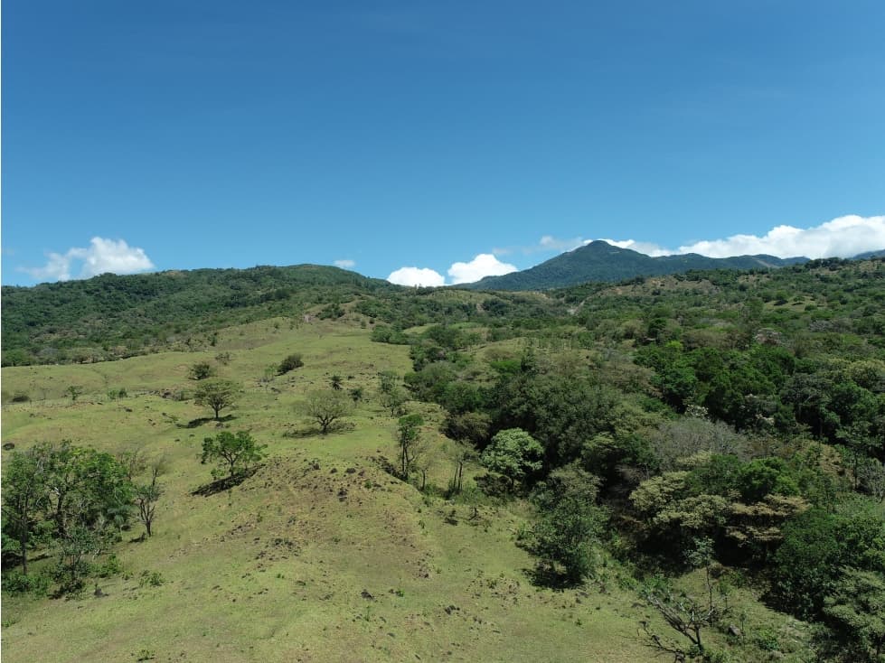 Finca en Venta Alto Boquete Vía Jaramillo — foto 2