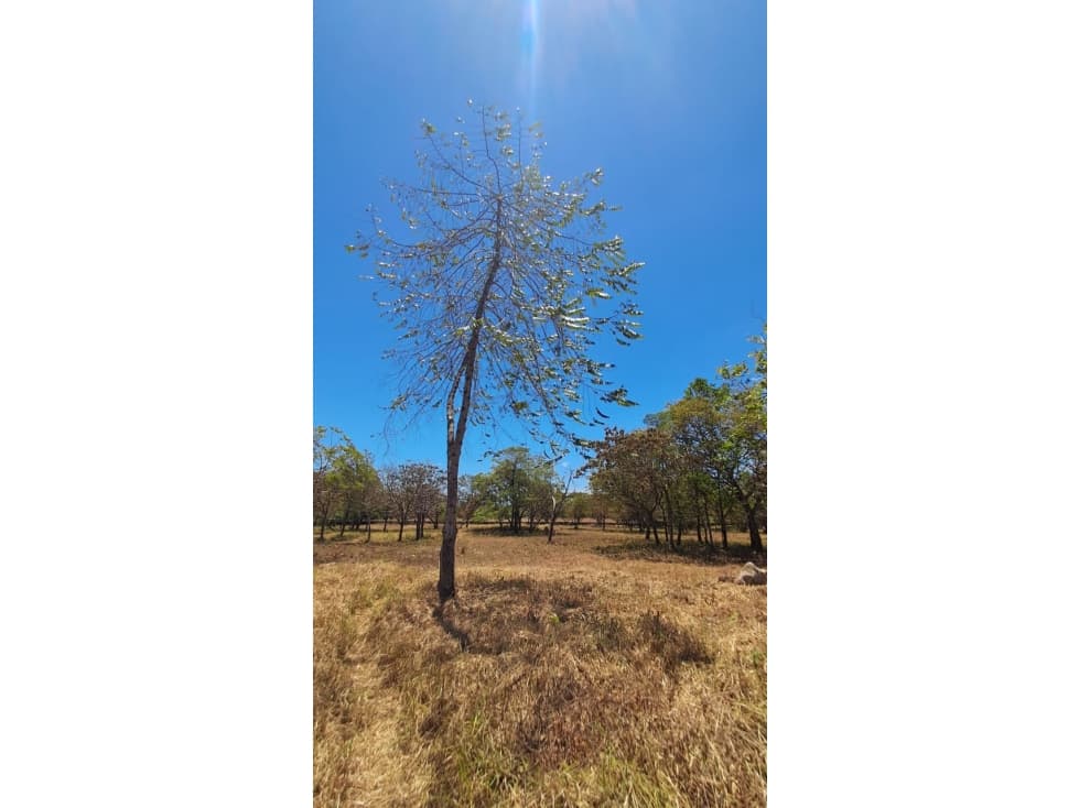 Finca en Venta Mata del Frances Alto Boquete — foto 3