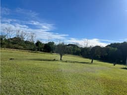 Fincas en venta en El Higo Cochea, distrito de David, Chiriquí