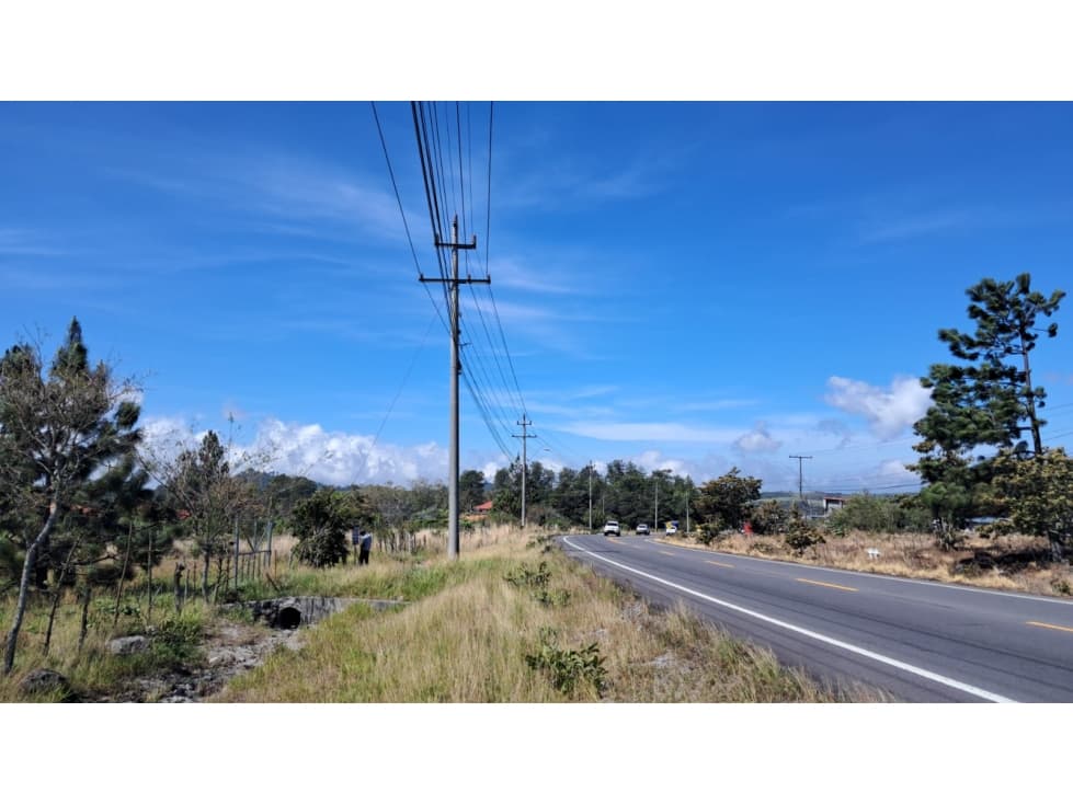 Lote en Paso Ancho Sobre la Vía Cerro Punta — foto 3