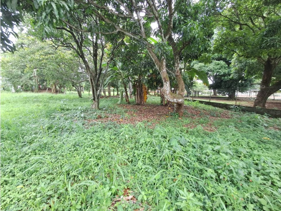 Lote en Venta en Dolega — foto 3