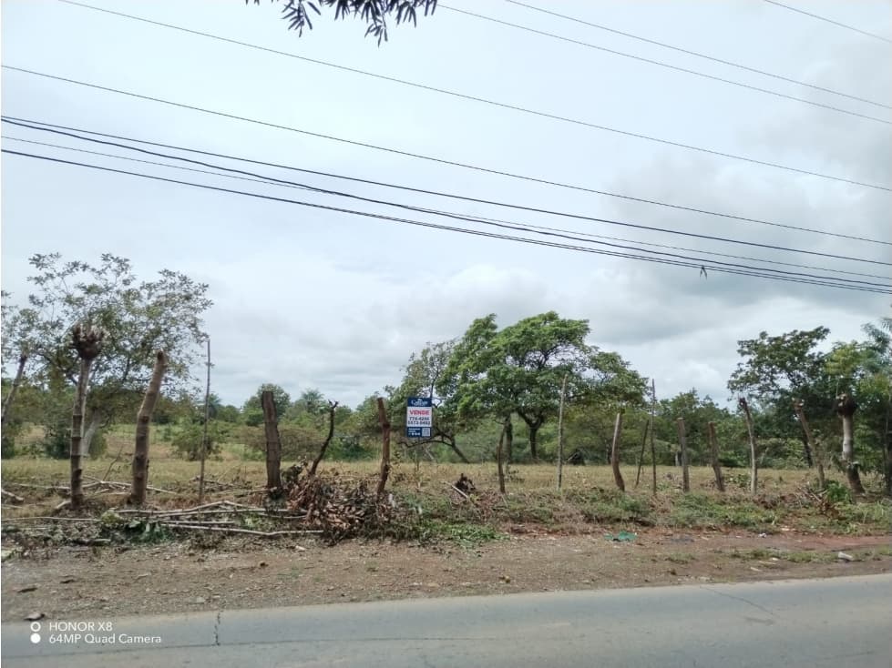 Finca en Venta Mata Del Nance Las Lomas — foto 3