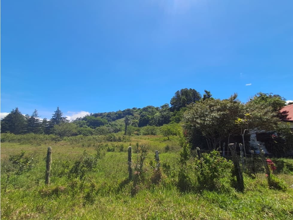 Finca en Venta Sector de Hato de Volcán Vía Principal — foto 5