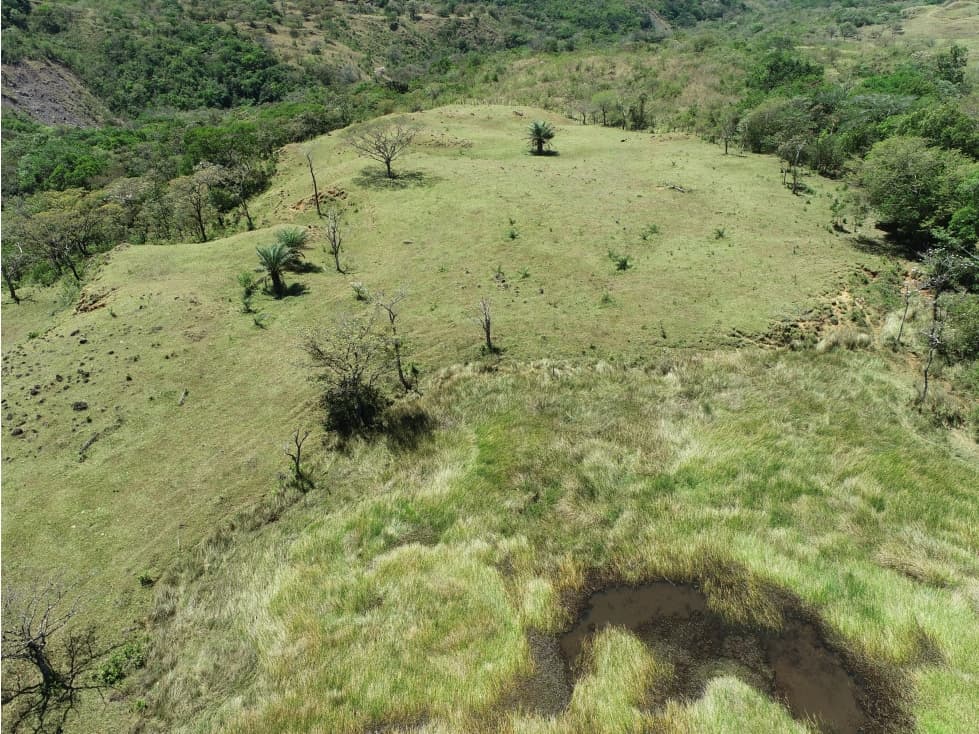 Finca en Venta Alto Boquete Vía Jaramillo — foto 3