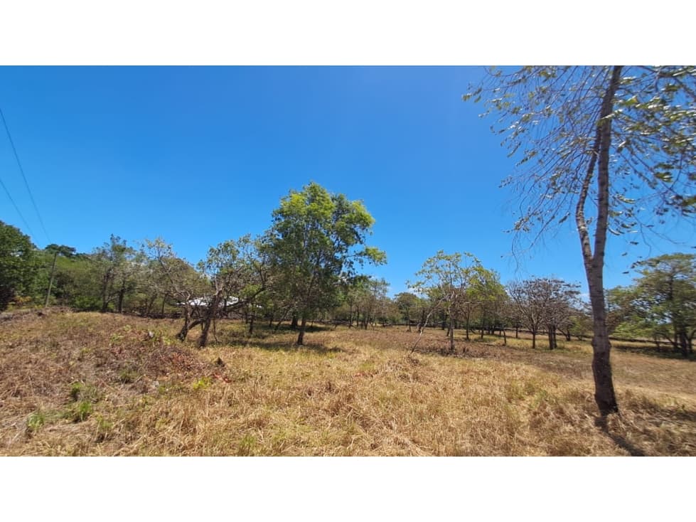 Finca en Venta Mata del Frances Alto Boquete — foto 5