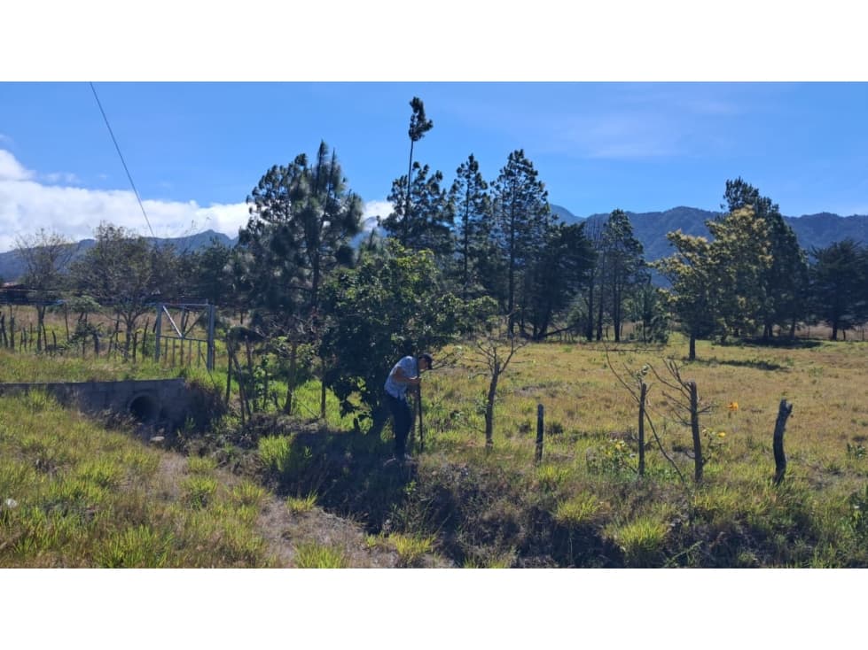 Lote en Paso Ancho Sobre la Vía Cerro Punta — foto 4