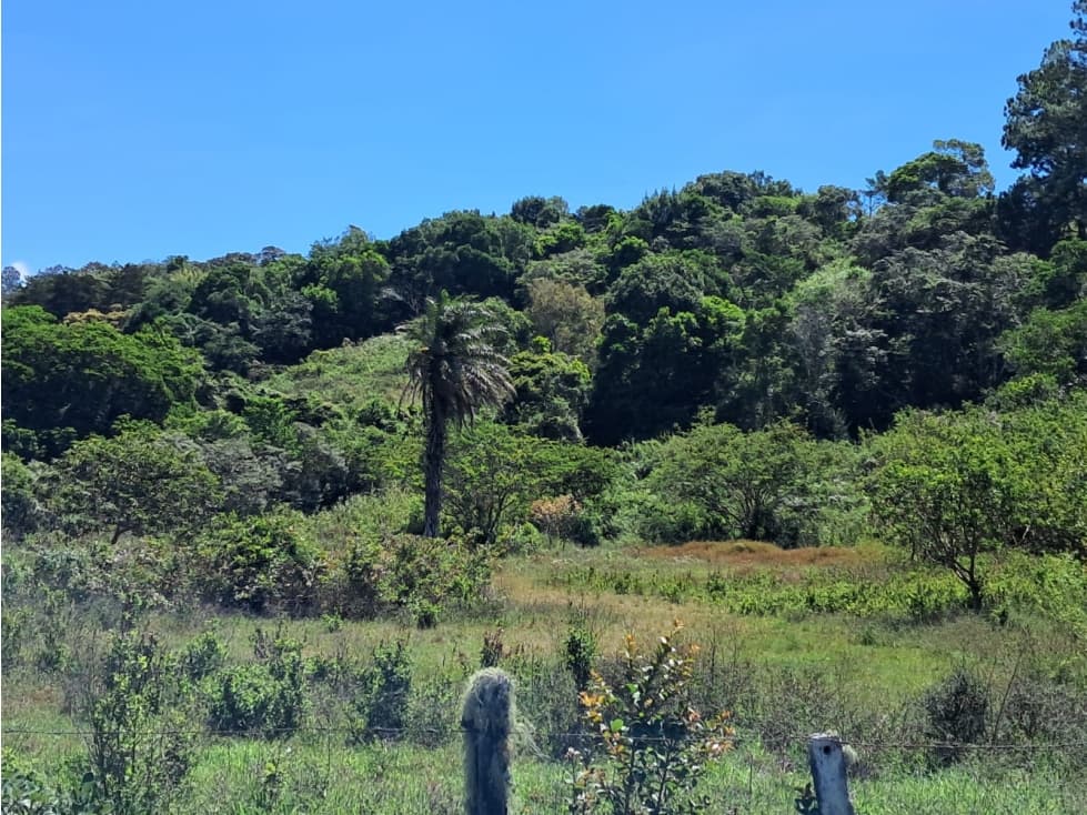 Finca en Venta Sector de Hato de Volcán Vía Principal — foto 6