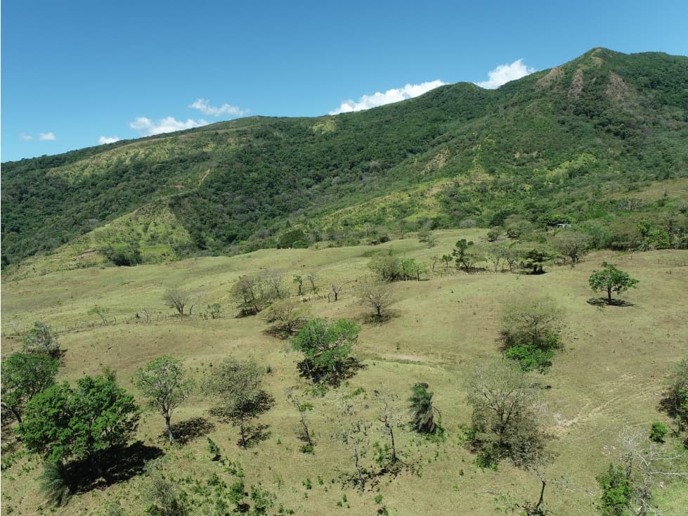 Finca en Venta Alto Boquete Vía Jaramillo — foto 4