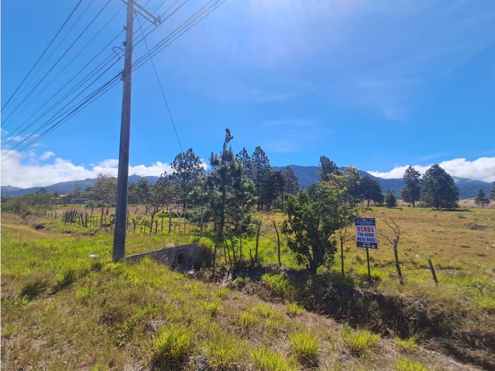 Lote en Paso Ancho Sobre la Vía Cerro Punta — foto 5