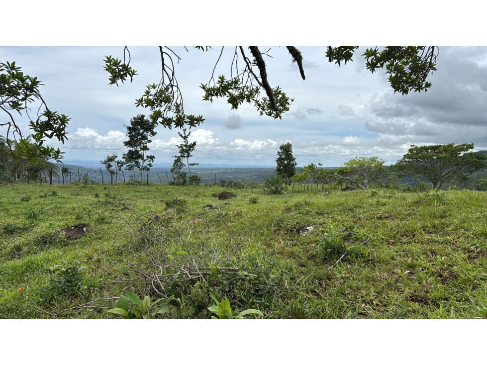 Finca en Venta Alto Boquete Vía Jaramillo — foto 5