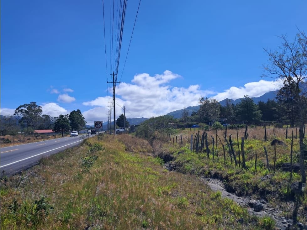 Lote en Paso Ancho Sobre la Vía Cerro Punta — foto 6