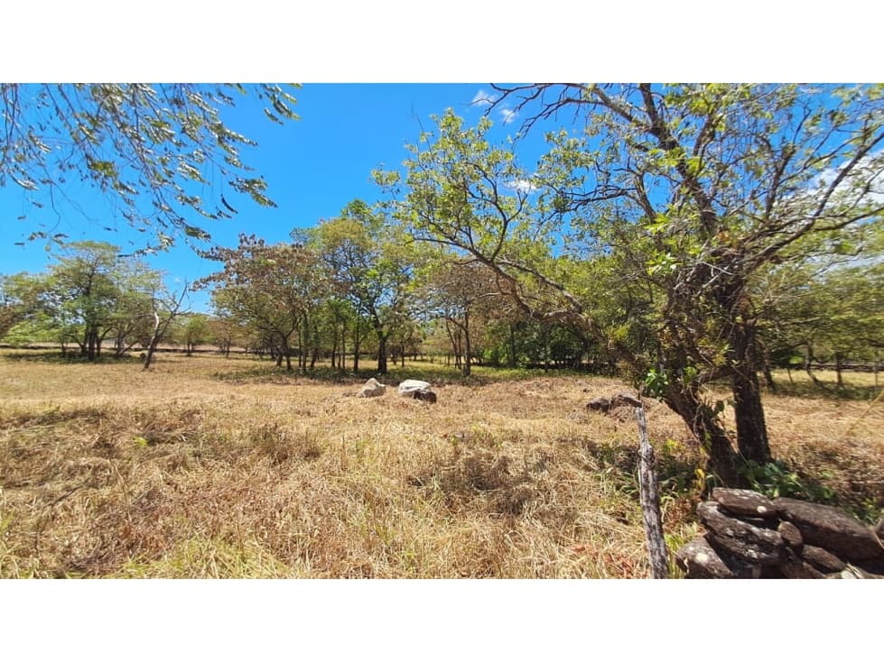 Finca en Venta Mata del Frances Alto Boquete — foto 4